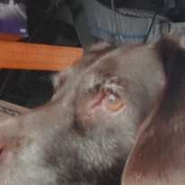 Photo of Michael
