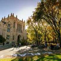 Photo of shamsa sabir