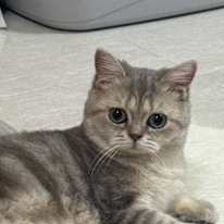 Photo of Agnes