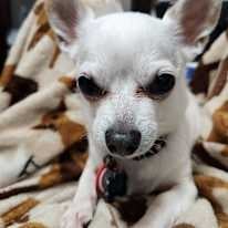 Photo of Mai