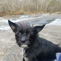 Photo of Myke