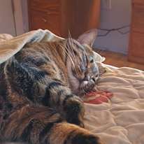 Photo of Savannah Barnes