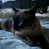 Photo of Tim