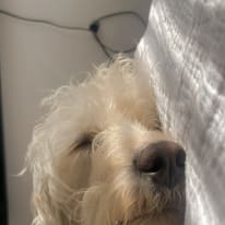 Photo of Rae