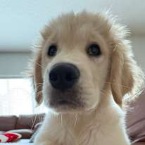 Photo of Felipe Javier