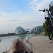 Photo of Cha
