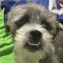 Photo of Mackenzie