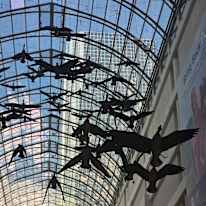 Photo of MAXIMO GONZALEZ