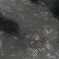 Photo of Nathaniel