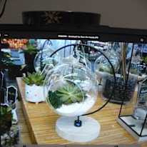 Renee K. Taylor--Former Telephone Interviewer