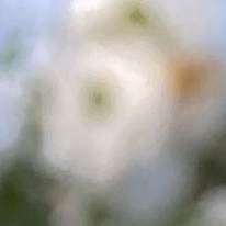 Photo of Angela
