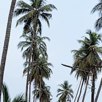 Photo of Sonaram
