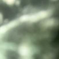 Photo of Heera Singh