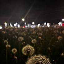 Photo of Diya Blessan