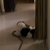 Photo of kangna
