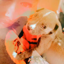 Photo of Niki