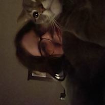 Photo of jaida