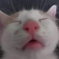 Photo of Kiera