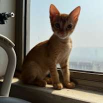 Photo of Suhel