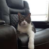 Photo of Jessica
