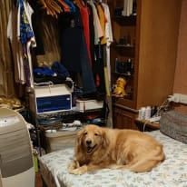 Photo of Sunny