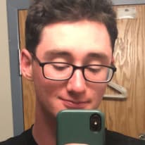 Photo of rowan