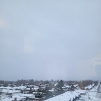 Photo of Ankit ankit