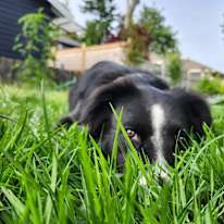 Photo of Colby
