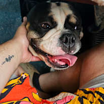 Photo of Marco