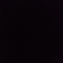 Photo of Benson Mathew