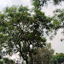 Photo of Nobuhle