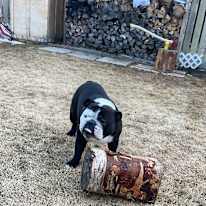 Photo of Max