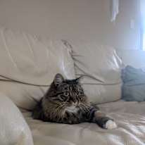 Photo of Sierra Longworth