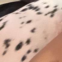 Photo of sapphire stewart