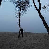 Photo of MD Abdul Halim Himel