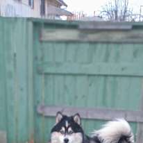 Photo of Natasha