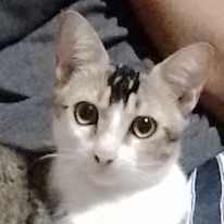 Photo of Dinuth