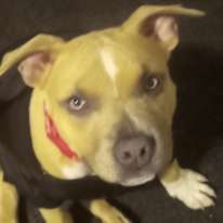 Photo of Tasha