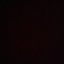 Photo of Tapur Tarunpreet