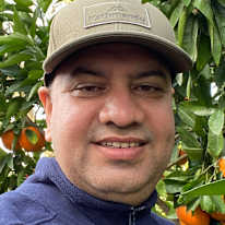 Photo of Krishna