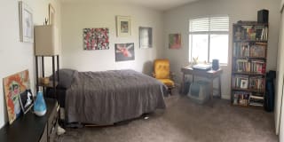 Photo of Jasper's room