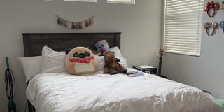 Photo of Vivian's room