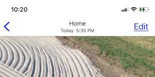 Sandwich Il Rooms For Rent Roomies Com