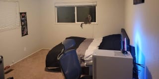Photo of cam's room