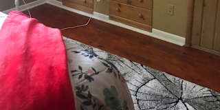 Lake George Saint Cloud Mn Rooms For Rent Roomies Com