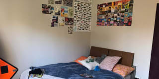 Photo of Poppy's room