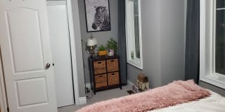 Photo of Mattash's room