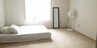 Photo of Francesco's room