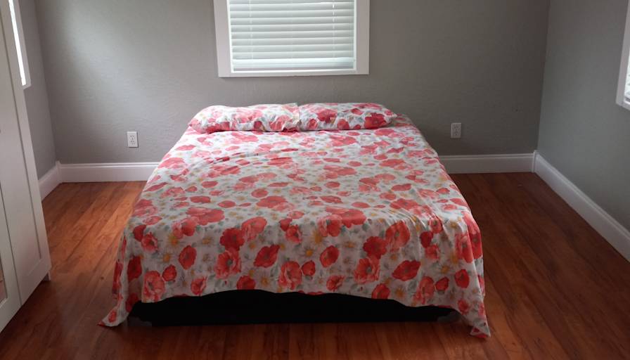 Private room to rent in share house Tampa, Florida 33605 The home