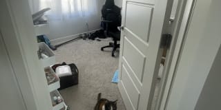 Photo of Sabina's room
